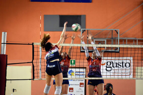 CASALE_06052023_0037.jpg